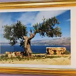 Olive Tree City Apartment